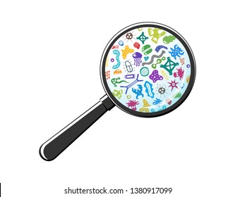 Bacterial microorganism through magnifying glass. Bacteria and germs, micro-organisms, bacteria, viruses, fungi, protozoa under the rejuvenating glass, magnifier. Vector colorful illustration