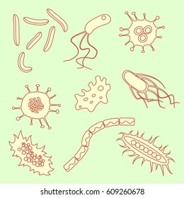 Bacterial microorganism variety set. Stock vector illustration of different germs, primitive organisms.