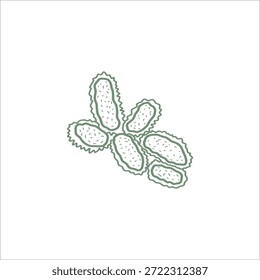 bacterial structure hand drawn illustration artwork