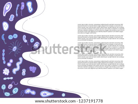 Bacterias cells banner. Microorganism collection flat shapes. Vector illustration.
