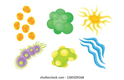 Bacterias and Germs Collection, Different Types of Colorful Microbes, Viruses, Protozoans Vector Illustration