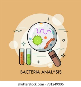 Bacterias, magnifying glass and pair of test tubes. Modern concept of bacteriological analysis, microbiological analytical procedure. Creative vector illustration for banner, poster, website.