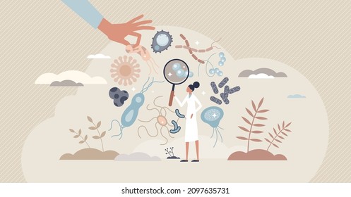 Bacteriology as biology branch with bacteria research tiny person concept. Scientific microbiology study with microorganisms growth and analysis vector illustration. Medicine scientist in laboratory.