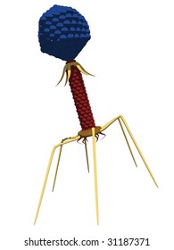 bacteriophage