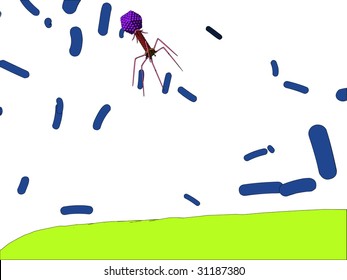 bacteriophage attacking bacterium