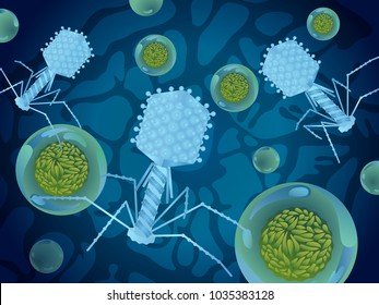 Bacteriophage and hepatitis virus