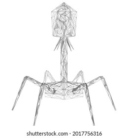 Bacteriophage. Polygonal construction of lines and points. White background.