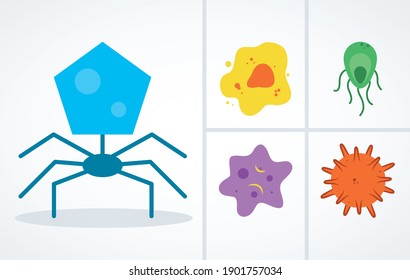 bacteriphange and bacterias icon set over white background, colorful design, vector illustration