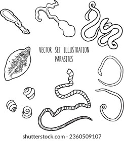 Iconos bacterianos o virus. Conjunto aislado de vectores de microorganismos bacterianos o parásitos para microbiología o diseño de infografía bacteriológica