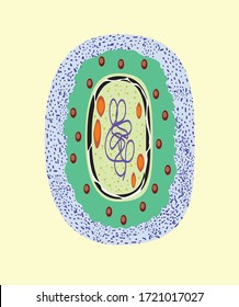 Bacterium blue-green algae. Prokaryotic cell important for human life