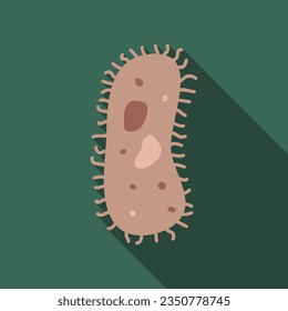 Bacterium flat icon with long shadow. Simple Biology icon pictogram vector illustration. Bacterium, Protozoa, virus, germ, medical, biology concept. Logo design