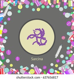 The bacterium sarcina. Flat vector stock illustration