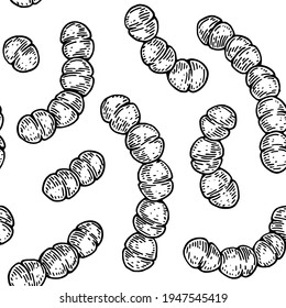 Bacterium seamless pattern in realistic sketch stile. Hand drawn medical background. Vector illustration