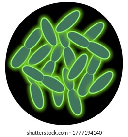 Bacterium under fluorescence microscopy. Plague wand. Acute infectious disease. Vector illustration. Outline on an isolated black background. Bubonic plague. Science and medicine. Black pestilence. 