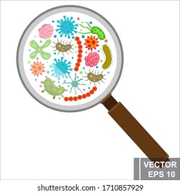 Bacterium and virus. Reproduction. View under the microscope. Disease. For your design.