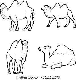 Bactrian Camel Animal Vector Illustration Hand Drawn Cartoon Art