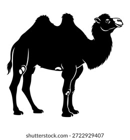 Bactrian Kamel Tier Vektor Silhouette