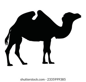 Bactrian Camel Black Silhouette Vektorgrafik
