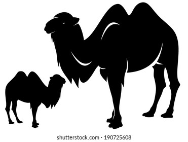 Bactrian camel (Camelus bactrianus) black and white vector outline and silhouette