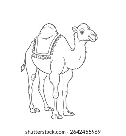 Camelo Bactriano - Camelus ferus. Camelo gracioso com sela decorada de pé em terreno arenoso. O conceito da natureza da vida selvagem. ilustrado em um esboço detalhado em um terreno arenoso.