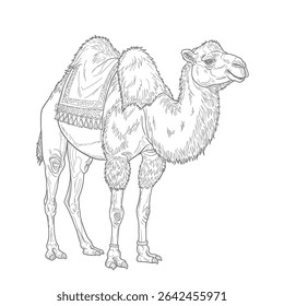 Camelo Bactriano - Camelus ferus. Camelo gracioso com sela decorada de pé em terreno arenoso. O conceito da natureza da vida selvagem. ilustrado em um esboço detalhado em um terreno arenoso.