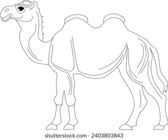 
Bactrian camel coloring page fo rkids and adults 