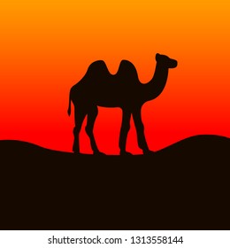 Bactrian camel in Gobi desert. Vector illustration.