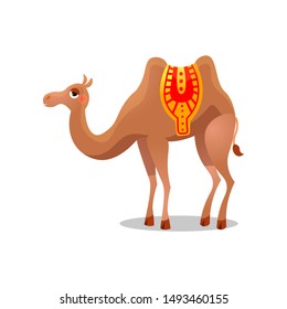 Bactrian camel with a saddle. Raster illustration in flat cartoon style on white background.