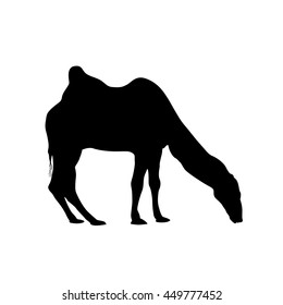 bactrian camel silhouette. Vector black on white 