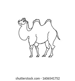 Bactrian Camel vector illustration. Line drawing of a desert animal silhouette. 