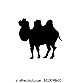 Bactrian Camel vector silhouette. Desert animal black illustration