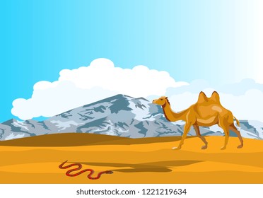 Bactrian camel walking in the desert, vector illustration