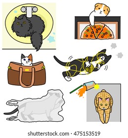 bad cats