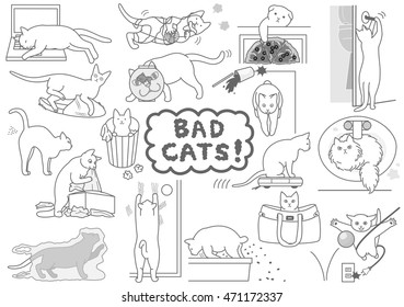 bad cats set