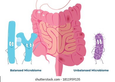Bad and good bacteria on the background of the intestine. How bad and good bacteria affect the gut. Editable vector illustration.
