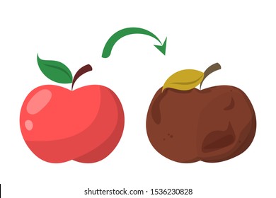 Bad rotten apple. Red fresh fruit become bad vector isolated. Organic rotten vegetarian food.