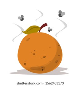 Bad rotten orange. Food waste vector isolated. Citrus fruit rot, vegetarian meal becoms bad. Fly around the orange.