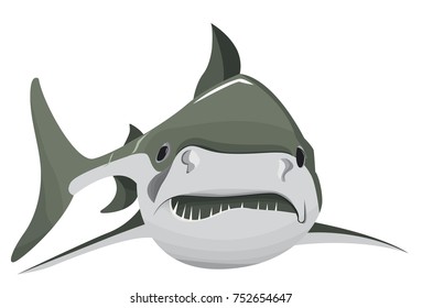 bad shark in the sea