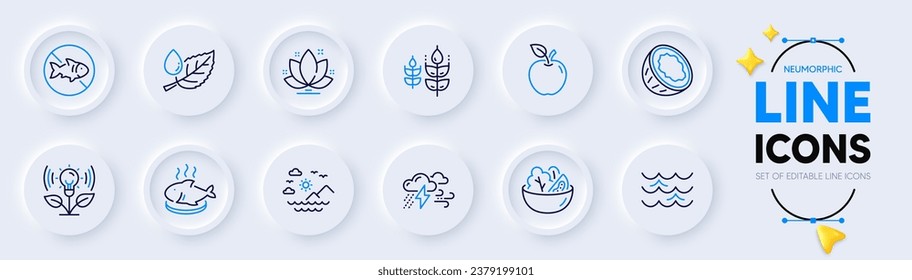 Mal tiempo, plato de pescado e iconos de la línea de Apple para la aplicación web. Paquete de coco, Dejar de pescar, iconos de Lotus pictograma. Montañas marinas, rocío de hojas, carteles de ensaladas. Gluten libre, Incubadora, Olas. Nubes. Vector