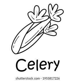 Badge celery with the inscription. Vector, eps