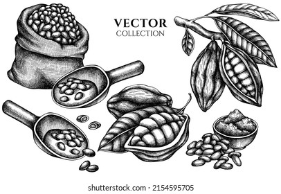 Diseño de placa con frijoles de cacao en blanco y negro, cacao