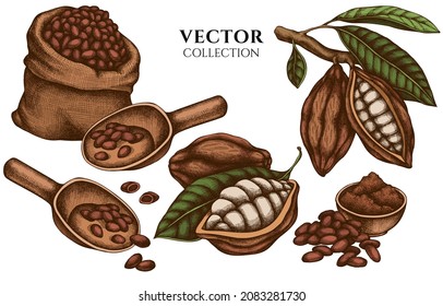 Diseño de placa con frijoles de cacao de color, cacao