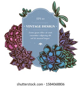 Badge design with colored succulent echeveria, succulent echeveria, succulent