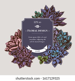 Badge design with colored succulent echeveria, succulent echeveria, succulent