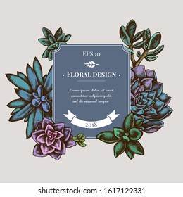 Badge design with colored succulent echeveria, succulent echeveria, succulent