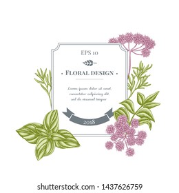 Badge design with pastel angelica, basil, rosemary