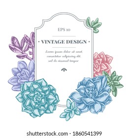 Badge design with pastel succulent echeveria, succulent echeveria, succulent