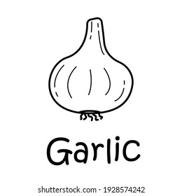 Badge garlic with the inscription. Vector, eps