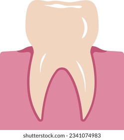Badge of healthy tooth in gum. Vector illustration