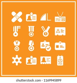badge icon. 16 badge vector set. high quality, id card, patch and sheriff icons for web and design about badge theme
